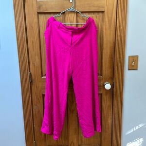 Pink Express Editor pants.